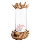 Lotus Glass Case LED Backflow Cone Incense Burner