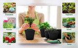 Plastic Plant Pots Nursery Seedlings Garden Plant Flower Pot Container 7x8cm