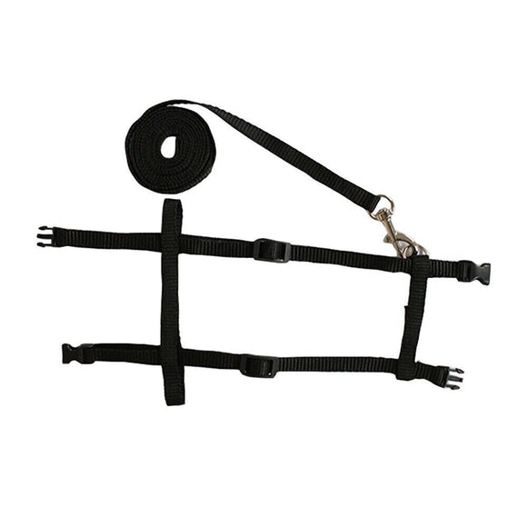 Adjustable Bunny Traction Rope RunningWalkingPet Rabbit Soft Harness Leash Black