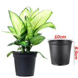 100x Plastic Plant Flower Pots Nursery Seedlings Growing Garden Black Plant Pots