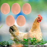12x Plastic Fake Chicken Eggs Poultry Layer Coop Hatching Simulation Dummy Egg