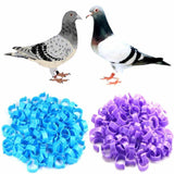 20pcs Birds Poultry Leg Rings Identification Bands Chicken Tags Ring 20mm Colour