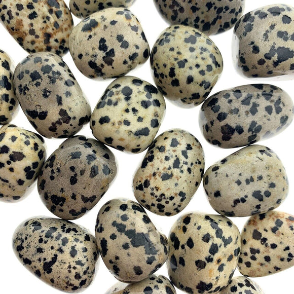 1x Dalmatian Jasper Gemstone Tumbled Stones Healing Crystals Grounding Tranquility