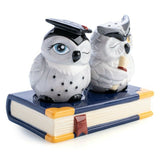 Owl Bird Lovers Salt and Pepper Shakers Set