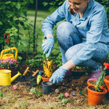 5pcs Natural Mushroom Quartz Crystal Carved Polishing Healing Stone Light Colour