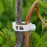 Veggie Garden Plant Support Clips for Trellis Twine Tomato Grafting Hanging Vine