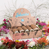 5 Pieces Smudge Box Stick Myrrh & PaloSanto Cleasing Harmony