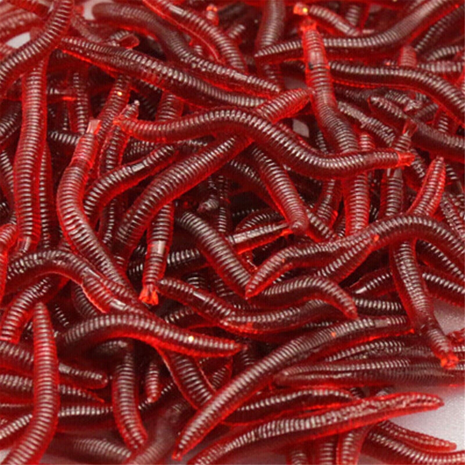 50x Bloodworm Soft Plastic Lure Fishing Worm Bait Red Bloodworms Whiti –  Acos eCommerce Group