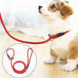 Red Slip Puppy Lead Nylon Rope Dog Training Correction Leash Pet 10mm
