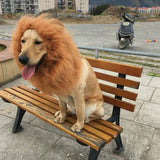 Lion Costume Mane Wig Large Dog Fancy Dress Up Party for Pet Halloween Clothes