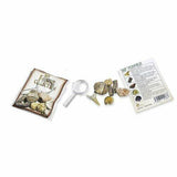 My Fossil Collection Fossils Science Paleontology Model Figures Kids