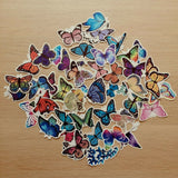 50pcs Butterfly Decoration Stickers Vinyl Decal Mix Waterproof Laptop iPhone